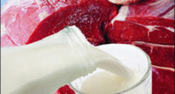 МЭРТ предупреждает: не экспортировать в Россию