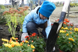 Эко-акция «Купил машину? Посади дерево!»