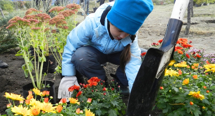 Эко-акция «Купил машину? Посади дерево!»