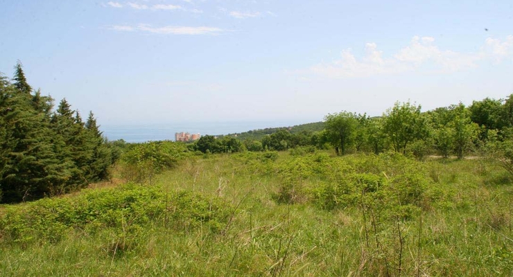 На сайте Госгеокадастра будут обнародованы данные о собственниках земель