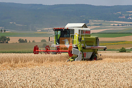 Сельское хозяйство обеспечивает 14% общего объема ВВП Украины