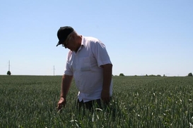 Компенсация НДС для агросектора сохранится