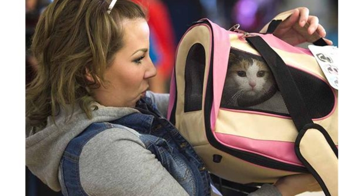 Денис Антонюк отстранен от полномочий главы Госавиаслужбы