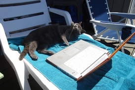 Рабочий май: работодатели активно искали новых работников и в праздники