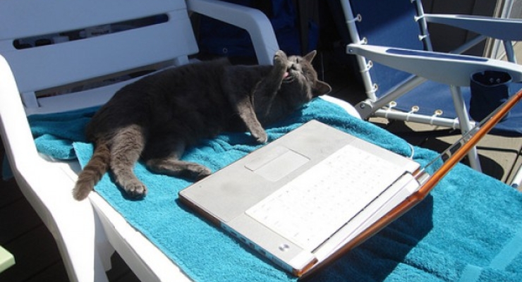 Индийский миллиардер ушел в монахи