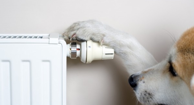 В домах без счетчиков на отопление хотят пересчитать тарифы