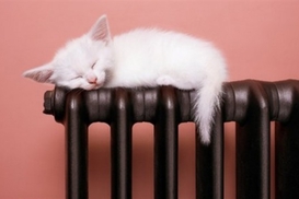 Украинский самолет АН-178 совершил свой первый полет