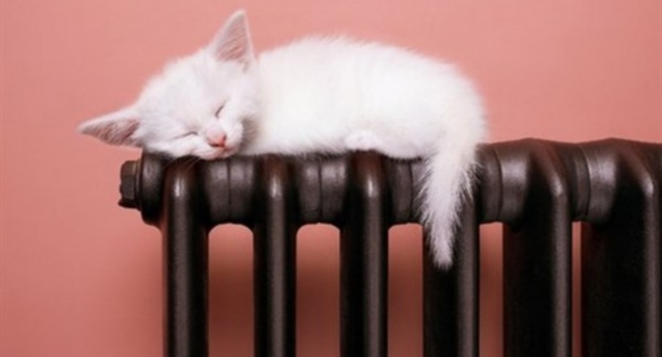 Украинский самолет АН-178 совершил свой первый полет