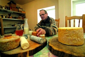 Shell разорвала договор с Украиной о добыче энергоносителей в Харьковской области