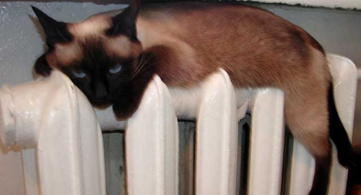 Отопительный сезон продлили до 30 апреля