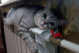 Отопительный сезон продлили до 30 апреля