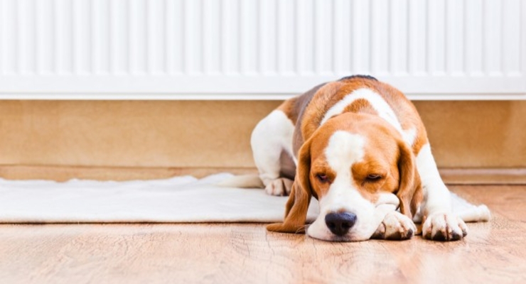 Тарифы на тепло подняли на 72%