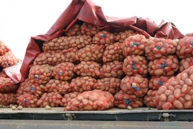 В Донецке людей на "митинг солидарности" заманивали дешевой картошкой