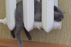 Страны, которые живут без центрального отопления