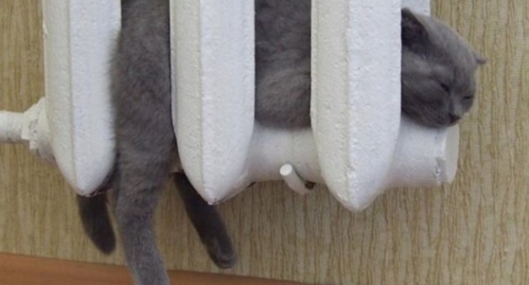 Страны, которые живут без центрального отопления