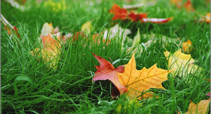 Осенние каникулы в школах Киева будут продлены