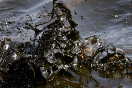 Цены на нефть падают