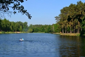 Сын заместителя генпрокурора владеет участком бывшей турбазы «Ворзель»