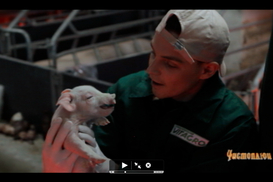 Укртелеком прекращает работу в Севастополе