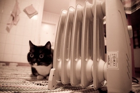 Курс валют на 15 июля