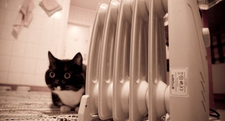 Курс валют на 15 июля