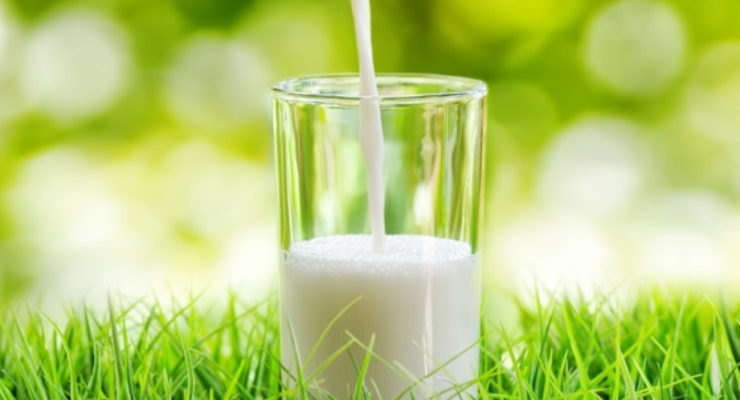 Эксперты назвали марки безопасного молока