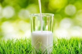 Названы лучшие города США для работы