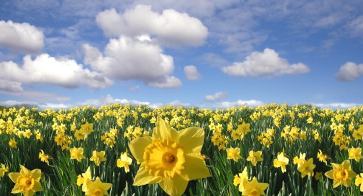 В Укргаздобыче проводят обыск