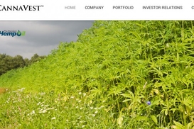 Названы самые уважаемые работодатели Украины