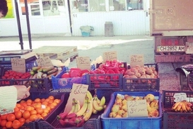 Польша выделяет 100 млн дол на поддержку малого и среднего бизнеса Украины