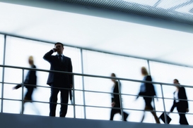 Украина в 2014 году нарастила производство всей продукции животноводства - Госстат