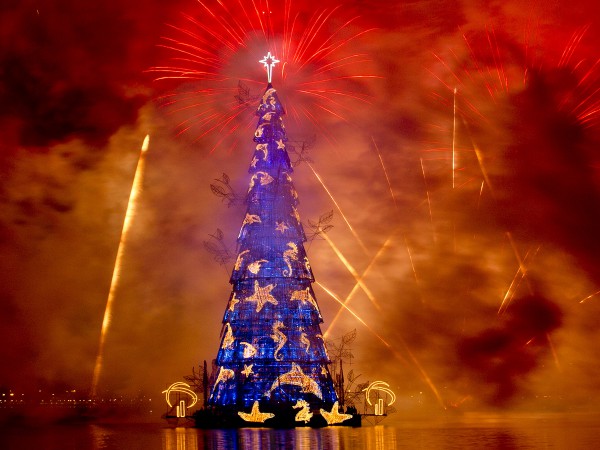 Самые красивые новогодние елки мира (ФОТО)