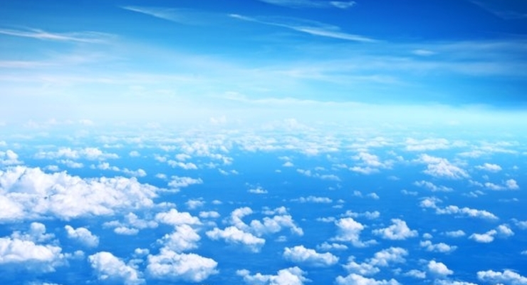 Экспорт продукции украинского АПК в Европу может вырасти на 20%