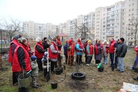 Украина и Беларусь определили направления торгово-экономического сотрудничества