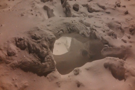 25 марта объявлен в Киеве и Киевской обл выходным