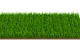 Бюрократия при регистрации земли