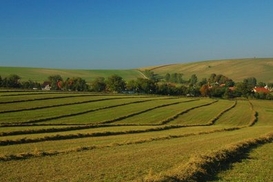 Продажу земли сельхозназначения перенесли