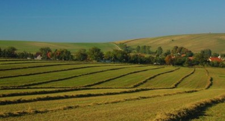 Продукты питания в Британии сейчас дешевле, чем в 1862