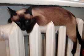 Азаров решил отключать тепло в домах и квартиры для выбивания долгов за газ