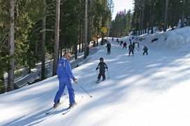 Где в Европе дешевле всего кататься на лыжах?