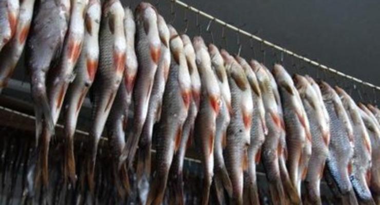 В Украине не осталось украинской рыбы