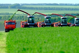 В Украине создана Федерация работодателей агропромышленного комплекса