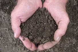 Скупить украинские земли будет непросто, - СМИ