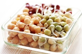 Депутаты ввели пошлины на экспорт рапса, сои и подсолнечного масла