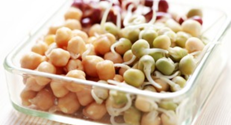 Депутаты ввели пошлины на экспорт рапса, сои и подсолнечного масла