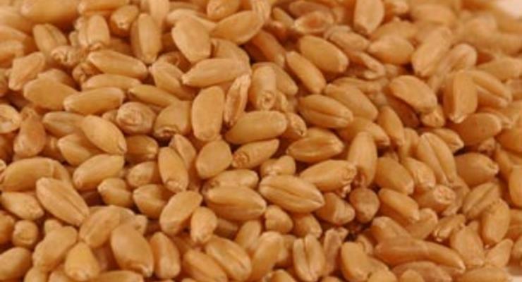 Рада отменила экспортные пошлины на пшеницу
