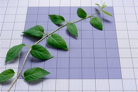 Фондовый рынок еще не готов к росту