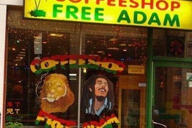 Владельцы кофе-шопов в Нидерландах теряют клиентов