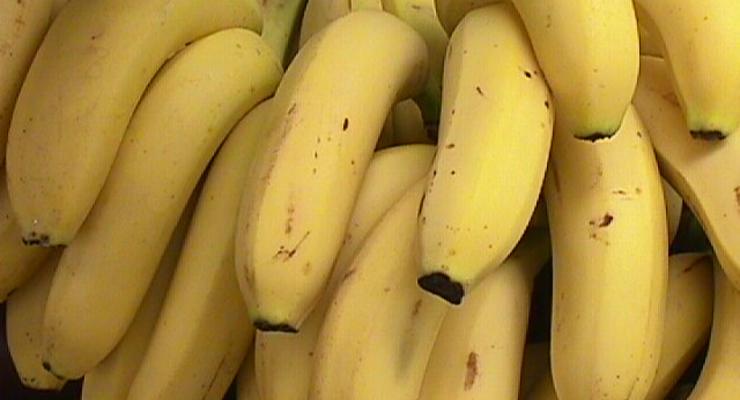 СБУ выявила контрабандные бананы на 13,5 млн грн