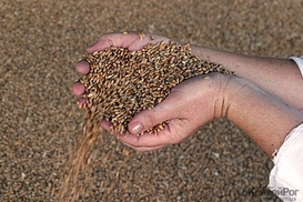 Банкиры готовы кредитовать мелких аграриев